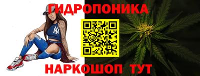 крисы Ипатово